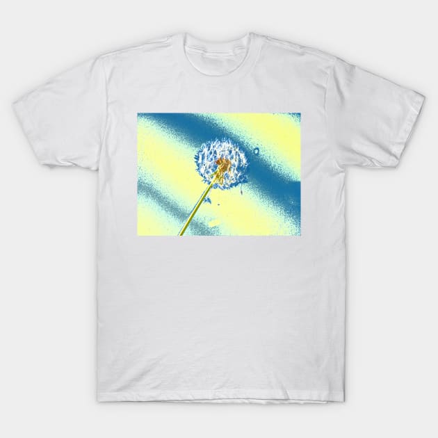 Wishing #2 T-Shirt by acespace